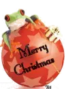 Merry Christmas Frog Ornament