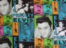 ELVIS POSTER