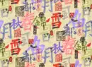 CHINA WORDS