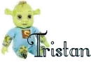Tristan Shrek Baby