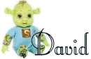 David Shrek baby