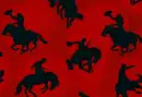 RED COWBOY