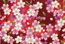 VIOLET FLOWERS