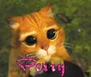 Perry Puss N Boots