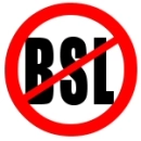anti bsl