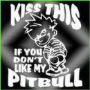Pitbull 