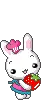 BERRY BUNNY