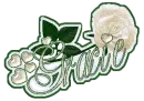 WHITE ROSE