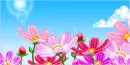 pink flowers