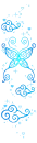 blue butterfly