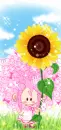 BBOGURI  WITH SUNFLOWER