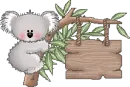 coala