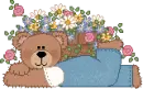bear