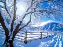 snow