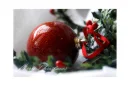 Merry Christmas Card