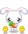 cute bunny