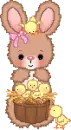bunny