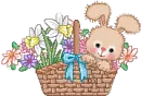 bunny