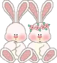 bunnys