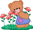 bear