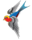 Swallow