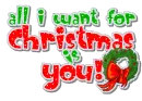 all i want for Christmas