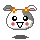 hi