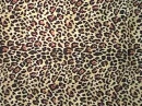 animal print