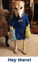 dog cheerleader