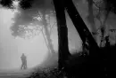 foggy kiss