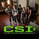 CSI - las vegas