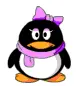 no penguin girl