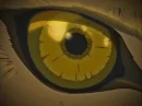 eye