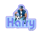 sporticus harry