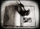 Dear Diary...