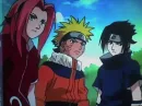team 7