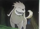 Akamaru