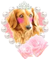 puppy princess