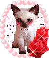 cute puppy