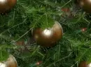 gold ornaments