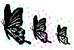 3 butterflies