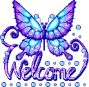 welcome butterfly
