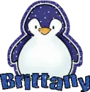 Brittany Penguin