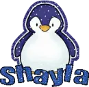 Shayla Penguin
