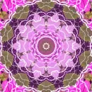 flower thingy