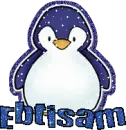 Ebtisam Penguin