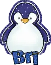 Bri Penguin