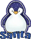 Sarita Penguin
