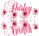 Shirley