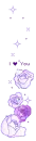 purple roses